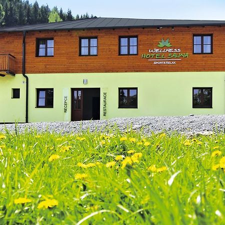 Wellness Hotel Sauna Мала-Моравка Экстерьер фото