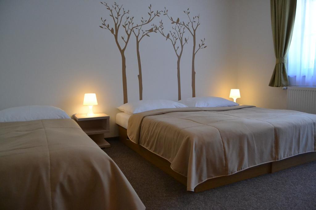 Wellness Hotel Sauna Мала-Моравка Номер фото